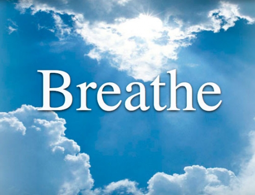 Breathe & Eat is Open for Registration!